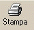 Stampa la pagina
